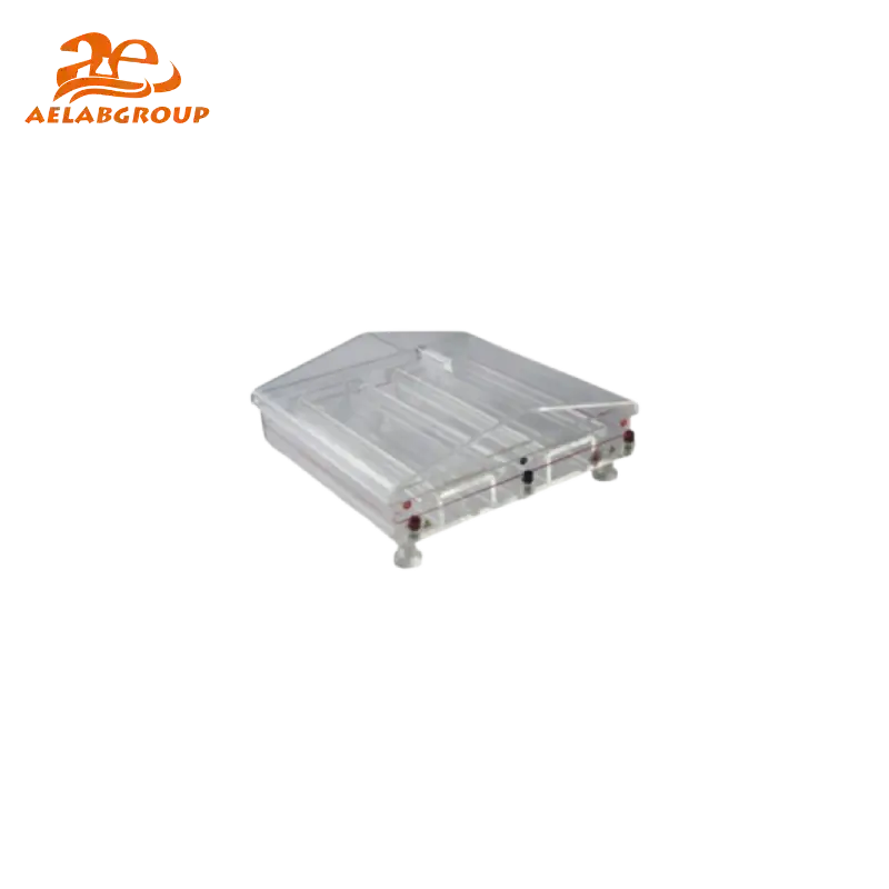 AELAB Horizontal Electrophoresis Apparatus AE-caTANK