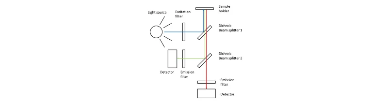 Key Differences Between Spectrophotometers and Fluorometers
