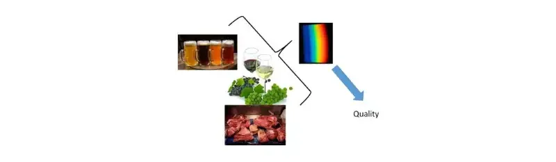 Measuring the Concentration of Food Additives with UV-VIS Spectrophotometry