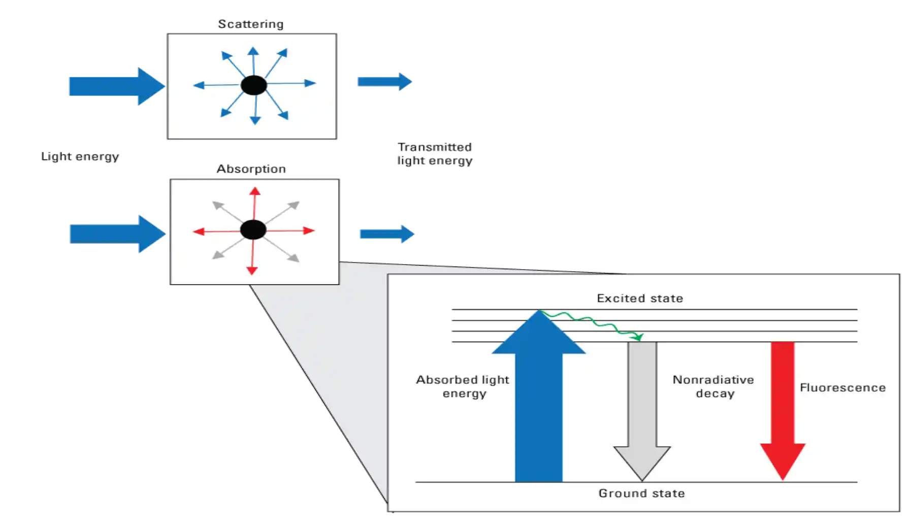 Pathways of Light Energy in Fluorescence Measurement