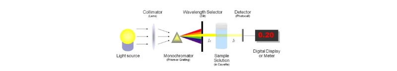 Spectrophotometers vs. Fluorometers Key Differences & Applications
