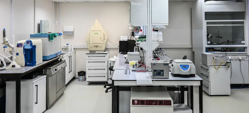 The Role of NIR in Advanced Grain Analysis