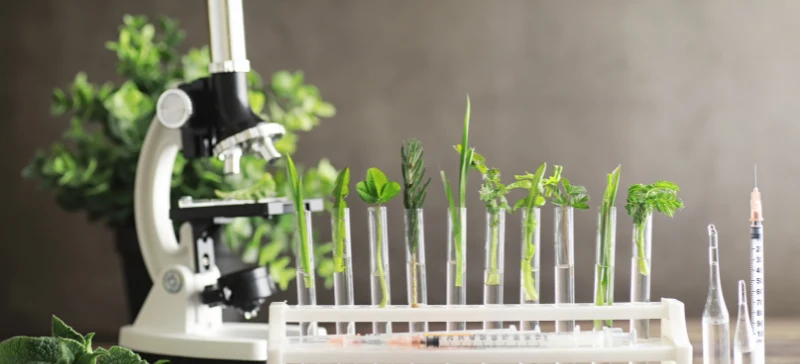 Top 10 High-Precision Instruments for Advanced Analytical Laboratories