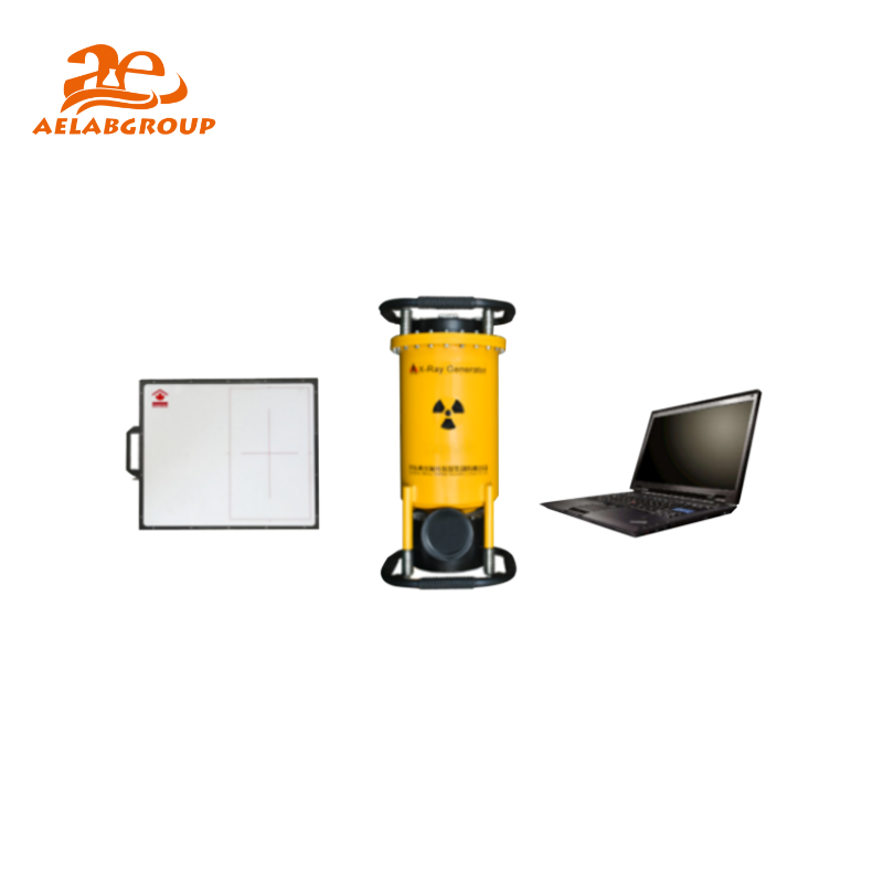 Conversion Frequency Portable X-ray unit AL-DR-300G