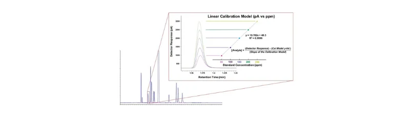 Key Concepts in Gas Chromatography Detector Sensitivity