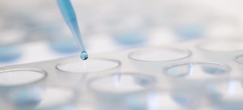 Role of Vortex Mixers in Sample Preparation