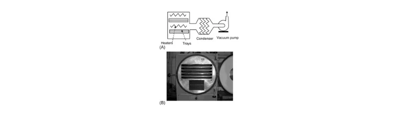 Schematic Diagram and Real View of a Vacuum Freeze Dryer