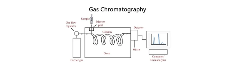 Techniques and Working Principles of Gas Chromatography