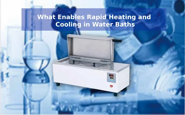 What Enables Rapid Heating and Cooling in Water Baths