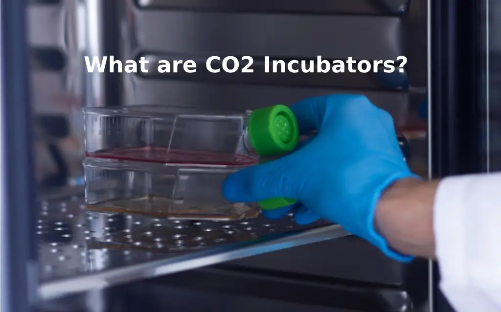 What are CO2 Incubators? AELAB