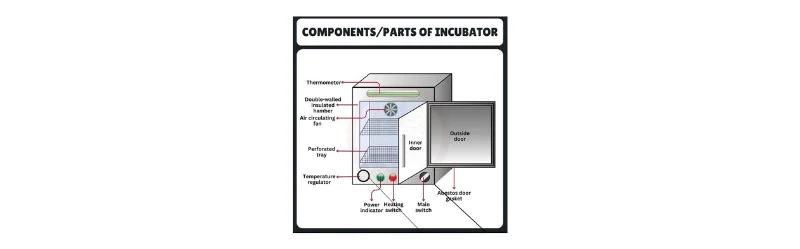 What is a CO2 Incubator