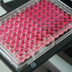 Microplate Readers and Elisa Readers : Essential Tools in Laboratory Research