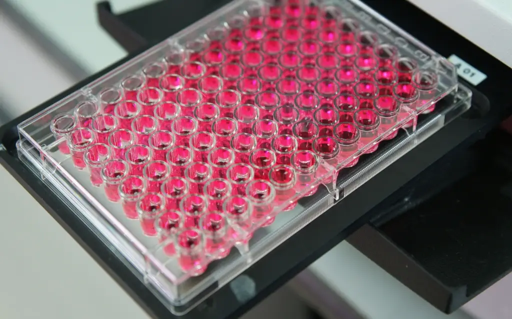 Microplate Readers and Elisa Readers : Essential Tools in Laboratory Research AELAB