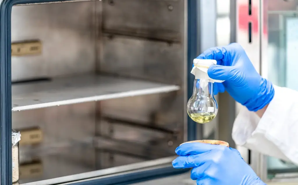 Muffle Furnace: Applications, Features, Benefits, and How to Choose the Right One for Laboratory and Industrial Use AELAB