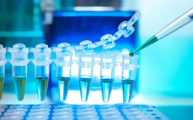 What is PCR? Types, Tests, and Applications Explained