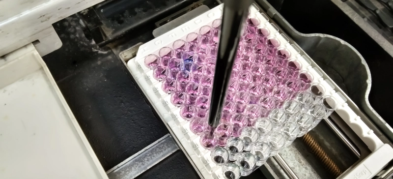 What is a Microplate Reader