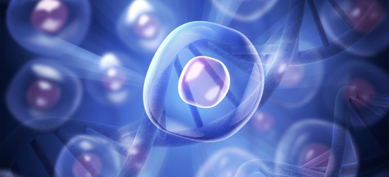 Best Automated Cell Counter for Accurate Cell Viability Analysis Fast & Reliable Results for Clinical and Research Labs