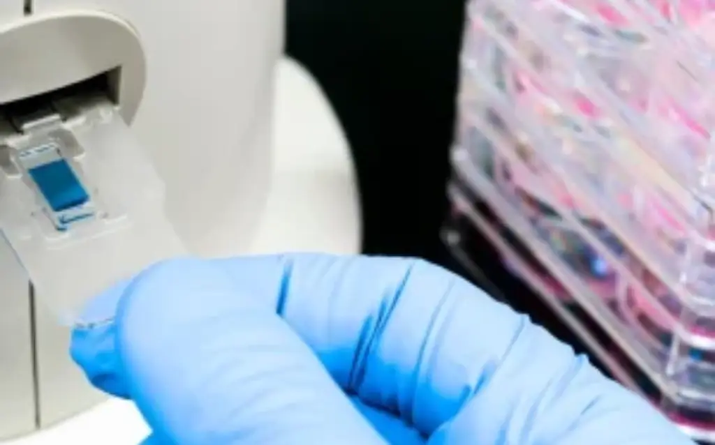 Best Automated Cell Counter for Accurate Cell Viability Analysis: Fast and Reliable Results for Clinical and Research Labs AELAB