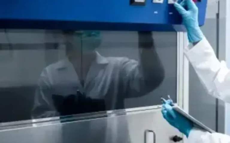 Chemical vs. Ducted vs. Walk-in Fume Hoods: Which Lab Hood is Right for You?