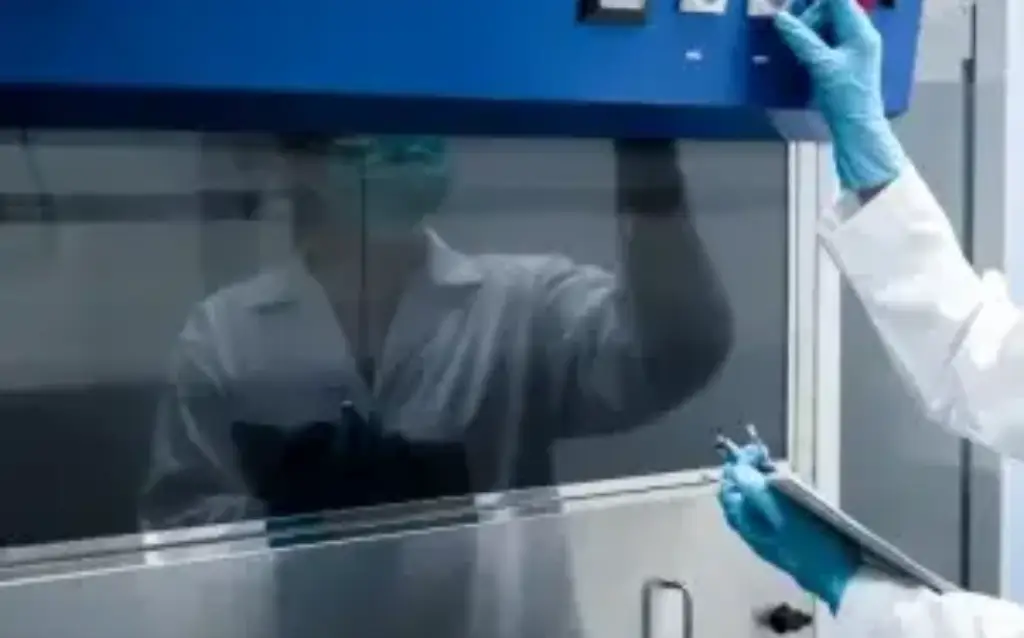 Chemical vs. Ducted vs. Walk-in Fume Hoods: Which Lab Hood is Right for You? AELAB