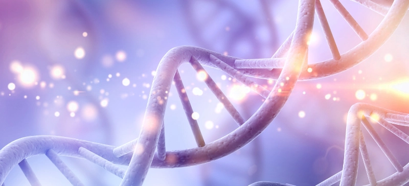 Fluorometer Principles, Types, Applications Advances in Fluorescence Measurement