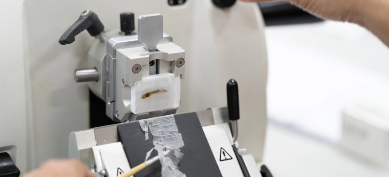 Microtome Analysis AELAB