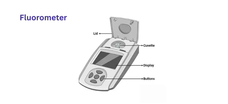 Spectrophotometer vs Fluorometer: Key Differences Highlighted