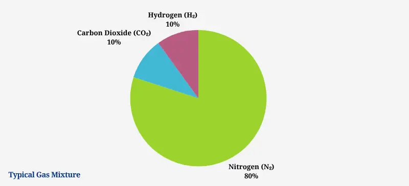Anaerobic Incubators : Uses, Features, and Benefits AELAB