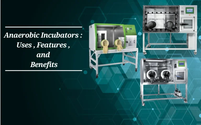 Anaerobic Incubators : Uses, Features, and Benefits