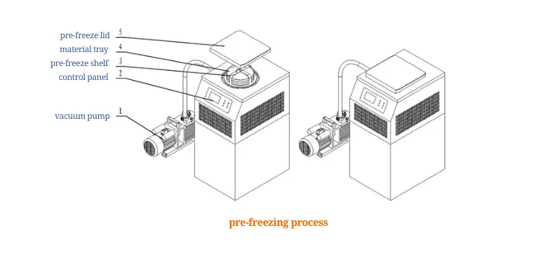  Pre-Freezing process AELAB 