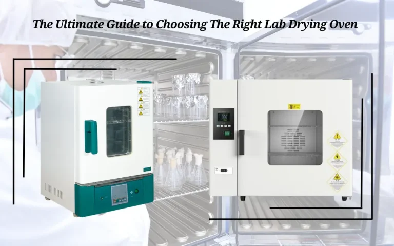 The Ultimate Guide to Choosing the Right Lab Drying Oven