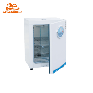 AELAB Thermostatic Incubator DH Series control panel close-up