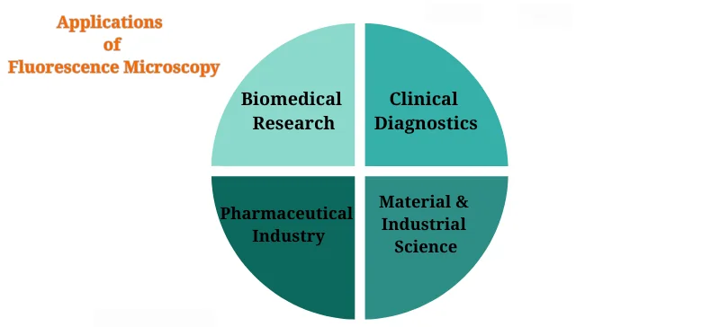 Fluorescence Microscope: The Ultimate Guide AELAB