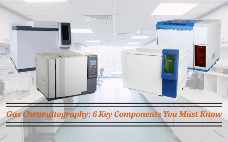 Gas Chromatography: 6 Key Components You Must Know