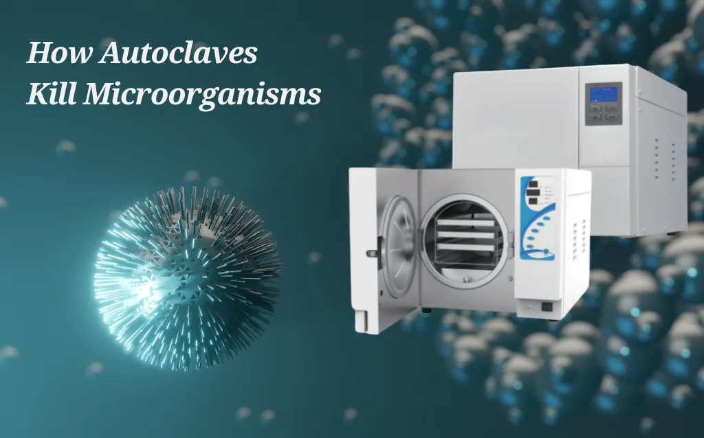 How Autoclave Kills Microorganisms AELAB