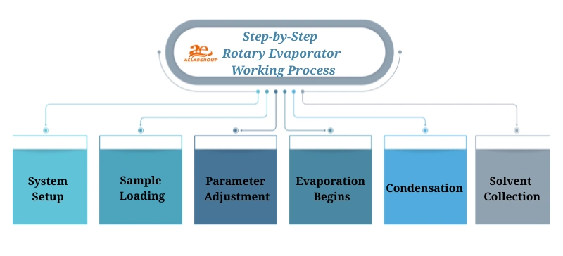 Rotary Evaporator
 Working Process AELAB
