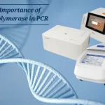 The Importance of Taq Polymerase in PCR
