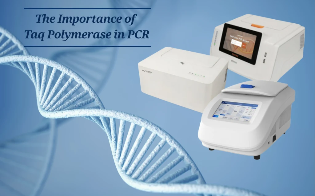Taq Polymerase in PCR AELAB