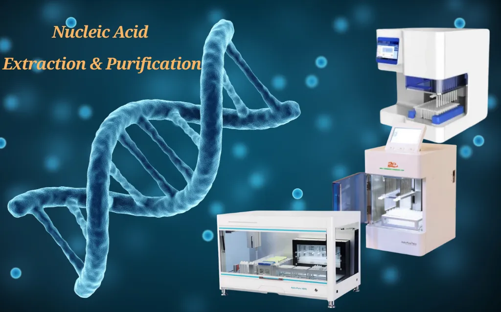 Nucleic Acid Extraction & Purification AELAB