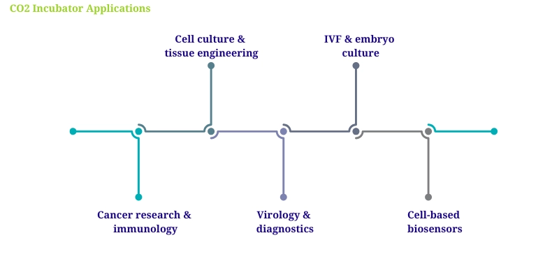 CO2 Incubator Applications – cell culture, IVF, cancer research, virology, and biosensor development AELAB