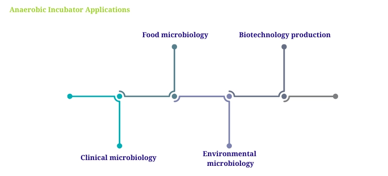 Anaerobic Incubator Applications – clinical microbiology, food microbiology, environmental microbiology, biotechnology production AELAB