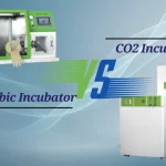 CO2 Incubator vs Anaerobic Incubator: A Complete Comparison