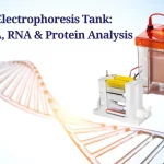Electrophoresis Tank: DNA, RNA & Protein Analysis