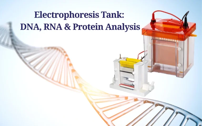 Electrophoresis Tank: DNA, RNA & Protein Analysis