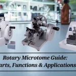 Rotary Microtome Guide: Parts, Functions & Applications