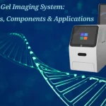 Gel Imaging System: Principles, Components & Applications