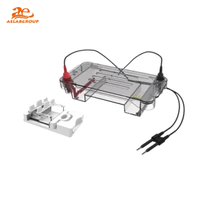 AELAB DL-SUB01 Horizontal Electrophoresis Tank