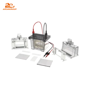 AELAB DL-Mini01 Vertical Electrophoresis Tank – Double Plate