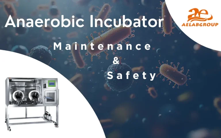 Anaerobic Incubator Maintenance & Safety