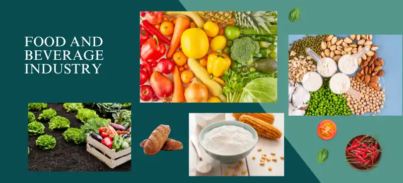 Moisture analyzer uses in food grain and agricultural products AELAB